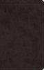 ESV Giant Print Value Personal Size Bible (TruTone, Black)