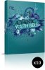 ERV Youth Bible Teal Pack of 10