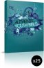 ERV Youth Bible Teal Pack of 25