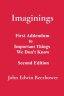 Imaginings: First Addendum to Important Things We Don't Know