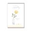 Sympathy Rose Single Card