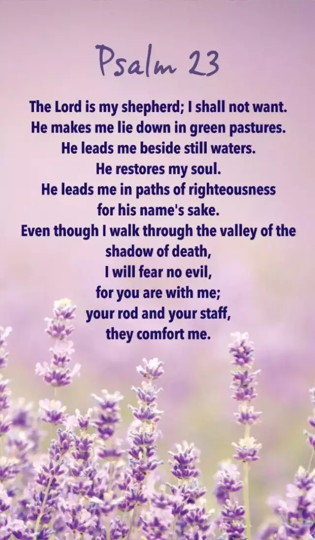 Prayer Card - Psalm 23 Pack of 20