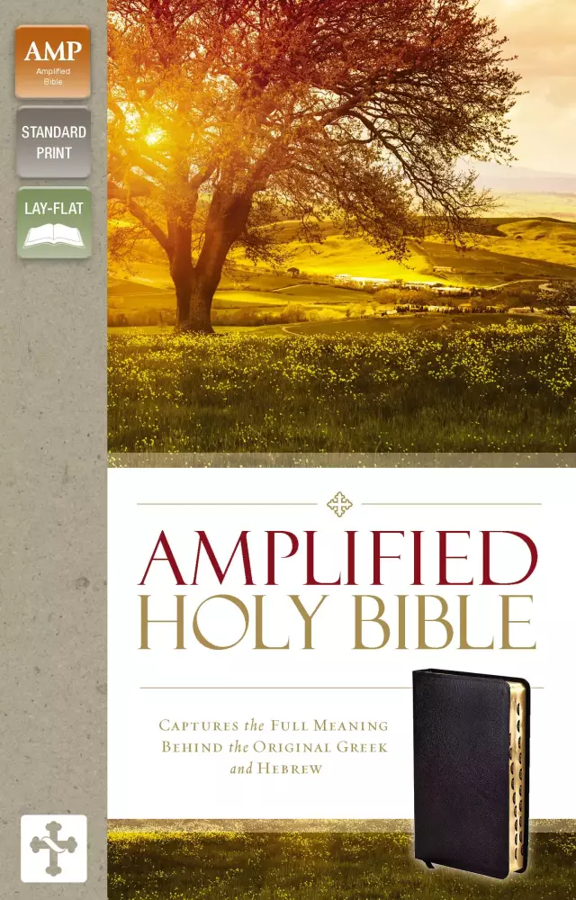 Amplified Thinline Holy Bible: Thumb Indexed, Silver Edges