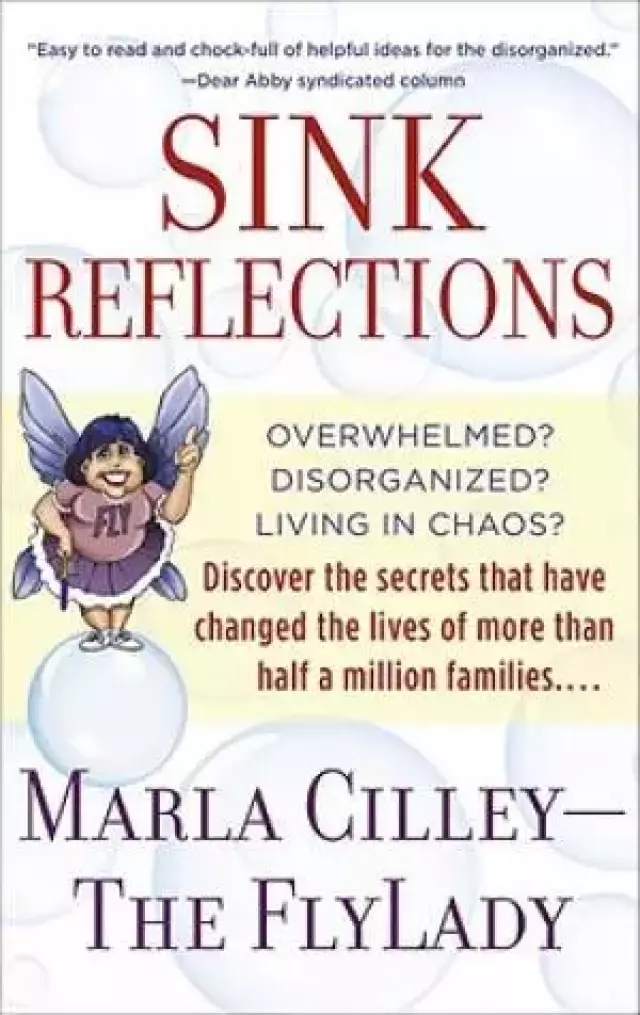 Sink Reflections : Overwhelmed Disorganized Living In Chaos The FlyLadys Si
