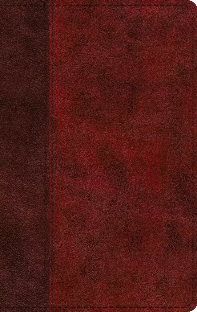 ESV Large Print Thinline Bible (TruTone, Burgundy/Red, Timeless Design)