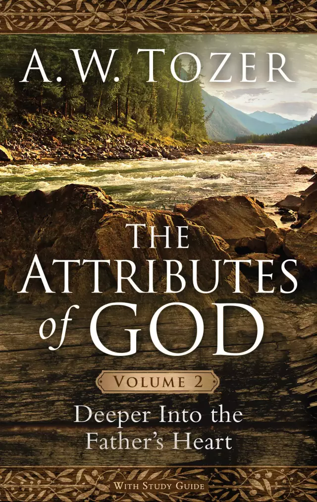 Attributes of God Volume 2