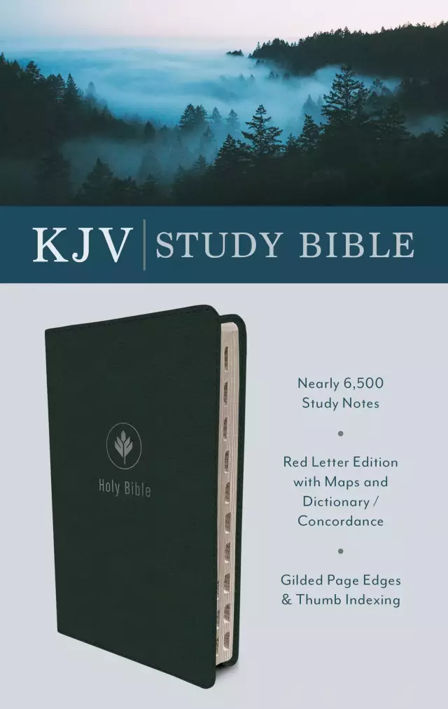 KJV Study Bible (Indexed) [Evergreen Fog]