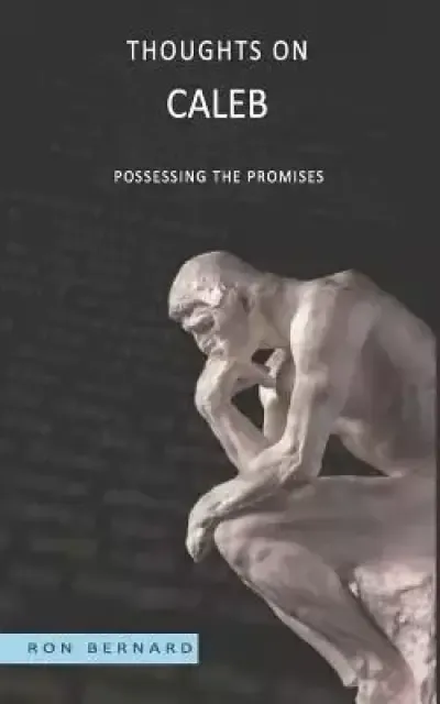 Thoughts on Caleb: Possessing the Promises