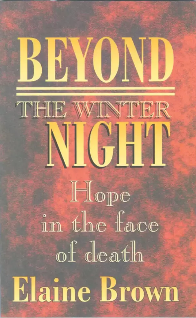 Beyond The Winter Night