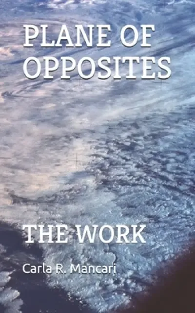 The Plane of Opposites: The Work