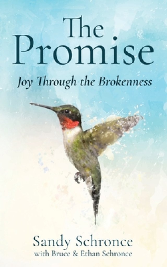 The Promise: Joy Through the Brokenness