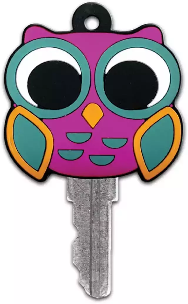 Owl Key Cover