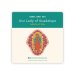 Our Lady of Guadalupe Pin Badge