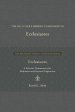 Preacher's Hebrew Companion to Ecclesiastes