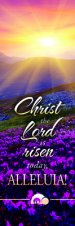 Bookmark-Christ The Lord Is Risen Today Alleluia! (Pack Of 25)