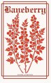 Baneberry