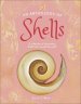 Anthology Of Shells