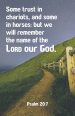 General Worship Bulletin: Some Trust (Package of 100)