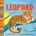 African Stories: Once Upon A Leopard