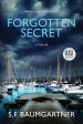 Forgotten Secret (Large Print): A Psychological Suspense Thriller