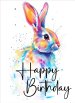 Happy Birthday Rabbit Card (pack of 6)