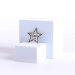 Badge Metal Usher Star Silvertone Magnet