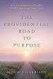 The Providential Road to Purpose