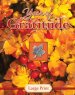 Year of Gratitude - Large Print (Daily Prayer Books)