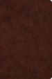 ESV Compact Bible, Red Letter (TruTone, Brown)