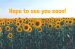 Visitor Postcard: Hope to See You (Package of 25)