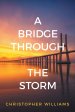 A Bridge Through the Storm