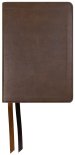 NASB 2020 Large Print Personal Size Bible, Brown