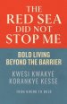 The Red Sea Did Not Stop Me: Bold Living Beyond The Barrier