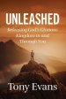 The Unleashed: Releasing God's Glorious Kingdom in and Through You