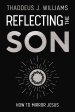 Reflecting the Son