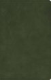 CSB Large Print Personal Size Reference Bible, Olive
