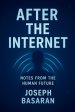After the Internet: Notes from the Human Future