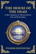 The House of the Dead: A Harrowing Journey Through Suffering, Redemption, and the Human Soul