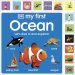 My First Ocean: Let’s Dive In And Explore!