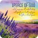 Peace Cork Coaster