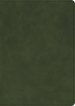 CSB She Reads Truth Bible, Holman Handcrafted Collection, Olive Premium Calfskin