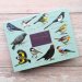 Fliplid Boxed Notecard Set - Patricia Maccarthy Birds