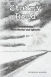 Stormy Road: Reawakening From Stroke and Aphasia