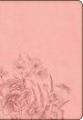 CSB Large Print Compact Reference Bible, Pink Floral