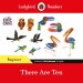 Ladybird Readers Beginner Level - Eric Carle -there Are Ten (elt Graded Reader)