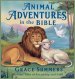 Animal Adventures in the Bible: Bedtime Tales of Friendship and Faith