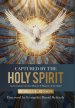 Captured by the Holy Spirit: An Invitation into the Mystery and Majest