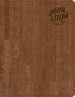 CSB Journal and Draw Bible for Kids, Brown Cork