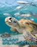 Kingfisher Ocean Encyclopedia