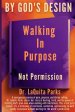 By God's Design: Walking in Purpose, Not Permission
